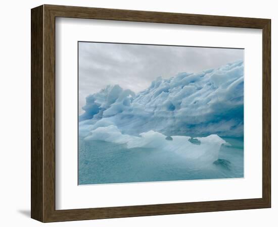 Icebergs drifting in the fjords of southern Greenland, Denmark-Martin Zwick-Framed Photographic Print