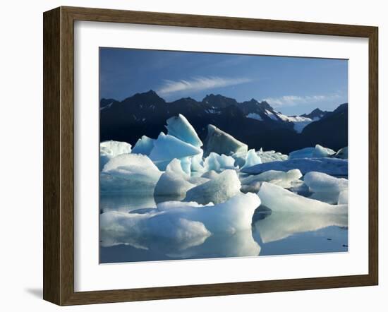 Icebergs Floating in Alsek Lake. Glacier Bay National Park, Ak.-Justin Bailie-Framed Premium Photographic Print