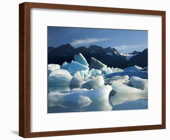 Icebergs Floating in Alsek Lake. Glacier Bay National Park, Ak.-Justin Bailie-Framed Premium Photographic Print