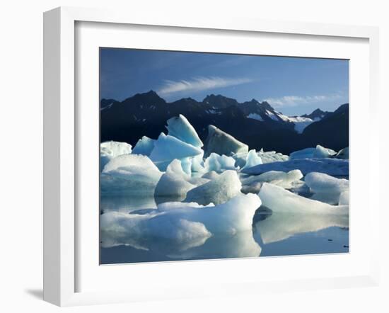 Icebergs Floating in Alsek Lake. Glacier Bay National Park, Ak.-Justin Bailie-Framed Premium Photographic Print