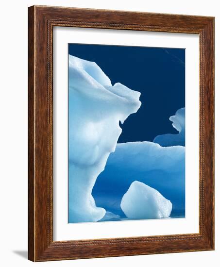 Icebergs Floating in Alsek Lake. Glacier Bay National Park, Ak.-Justin Bailie-Framed Photographic Print
