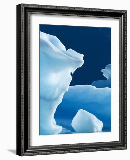 Icebergs Floating in Alsek Lake. Glacier Bay National Park, Ak.-Justin Bailie-Framed Photographic Print