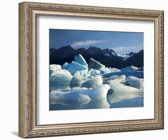 Icebergs Floating in Alsek Lake. Glacier Bay National Park, Ak.-Justin Bailie-Framed Photographic Print