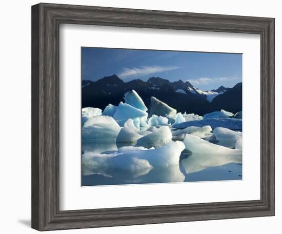 Icebergs Floating in Alsek Lake. Glacier Bay National Park, Ak.-Justin Bailie-Framed Photographic Print