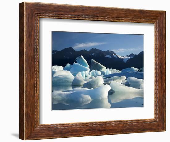 Icebergs Floating in Alsek Lake. Glacier Bay National Park, Ak.-Justin Bailie-Framed Photographic Print