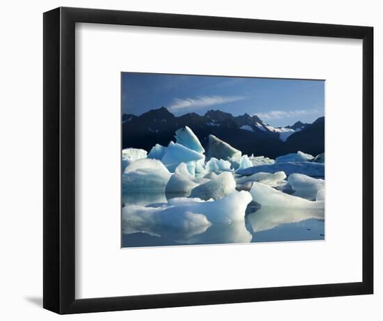 Icebergs Floating in Alsek Lake. Glacier Bay National Park, Ak.-Justin Bailie-Framed Photographic Print