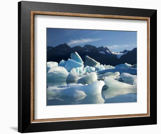 Icebergs Floating in Alsek Lake. Glacier Bay National Park, Ak.-Justin Bailie-Framed Photographic Print