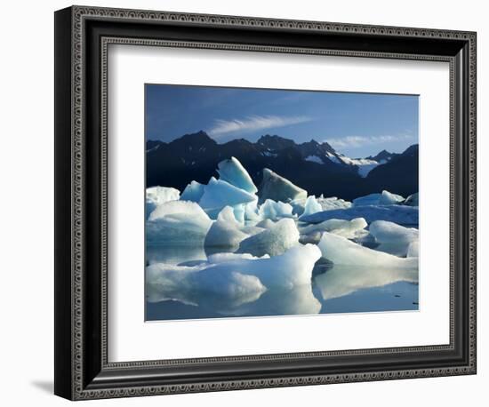 Icebergs Floating in Alsek Lake. Glacier Bay National Park, Ak.-Justin Bailie-Framed Photographic Print