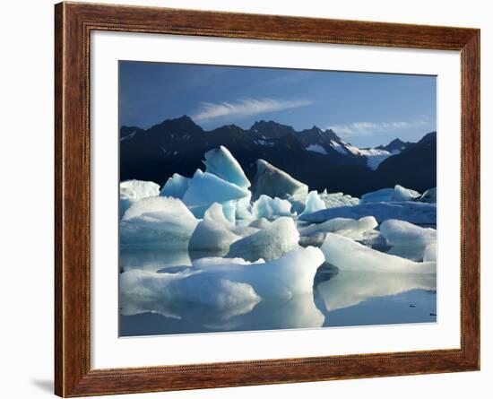 Icebergs Floating in Alsek Lake. Glacier Bay National Park, Ak.-Justin Bailie-Framed Photographic Print