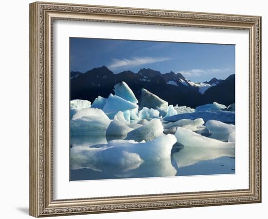 Icebergs Floating in Alsek Lake. Glacier Bay National Park, Ak.-Justin Bailie-Framed Photographic Print