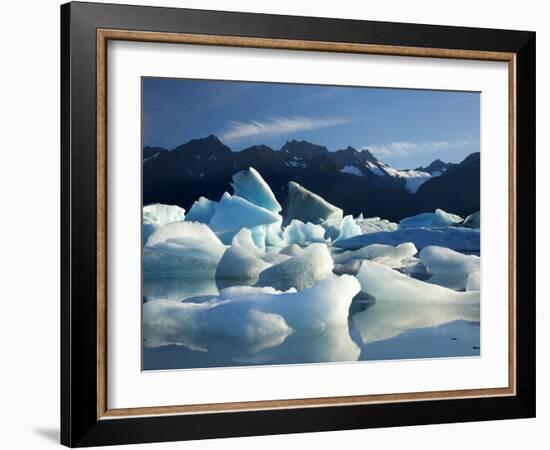 Icebergs Floating in Alsek Lake. Glacier Bay National Park, Ak.-Justin Bailie-Framed Photographic Print