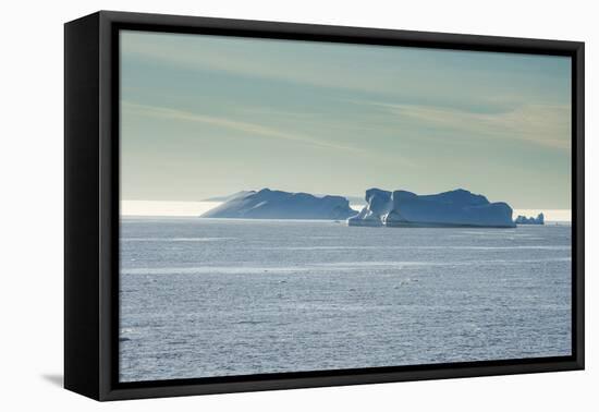 Icebergs floating in Hope Bay, Antarctica, Polar Regions-Michael Runkel-Framed Premier Image Canvas