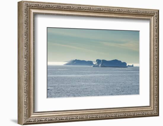 Icebergs floating in Hope Bay, Antarctica, Polar Regions-Michael Runkel-Framed Photographic Print