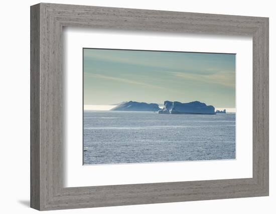 Icebergs floating in Hope Bay, Antarctica, Polar Regions-Michael Runkel-Framed Photographic Print