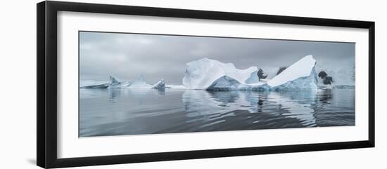 Icebergs floating in the Southern Ocean, Iceberg Graveyard, Lemaire Channel, Antarctic Peninsula...-Panoramic Images-Framed Photographic Print