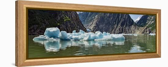 Icebergs Floating on Water of Tracy Arm Fjord, Southeast Alaska, Alaska, Usa-null-Framed Premier Image Canvas