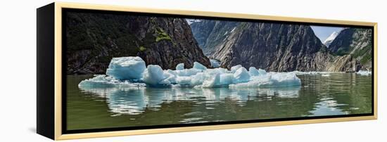 Icebergs Floating on Water of Tracy Arm Fjord, Southeast Alaska, Alaska, Usa-null-Framed Premier Image Canvas