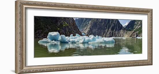 Icebergs Floating on Water of Tracy Arm Fjord, Southeast Alaska, Alaska, Usa-null-Framed Photographic Print