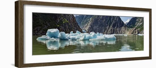 Icebergs Floating on Water of Tracy Arm Fjord, Southeast Alaska, Alaska, Usa-null-Framed Photographic Print
