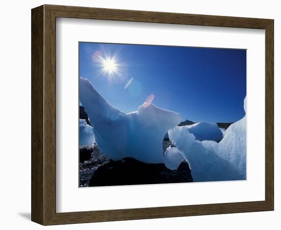 Icebergs from Columbia Glacier, Prince William Sound, Alaska, USA-Hugh Rose-Framed Photographic Print