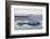 Icebergs, Glacier Lagoon Jškulsarlon, South Iceland-Julia Wellner-Framed Photographic Print