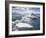 Icebergs in Glacial Lagoon at Jokulsarlon, Iceland, Polar Regions-Lee Frost-Framed Photographic Print