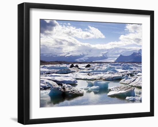 Icebergs in Glacial Lagoon at Jokulsarlon, Iceland, Polar Regions-Lee Frost-Framed Photographic Print