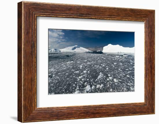 Icebergs in Ilulissat Icefjord, Greenland, Denmark, Polar Regions-Sergio Pitamitz-Framed Photographic Print