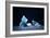 Icebergs In Lowell Lake, Canada-David Nunuk-Framed Photographic Print