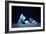 Icebergs In Lowell Lake, Canada-David Nunuk-Framed Photographic Print