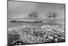 Icebergs in the Herrera Channel, Antarctica, Polar Regions-Sergio Pitamitz-Mounted Photographic Print