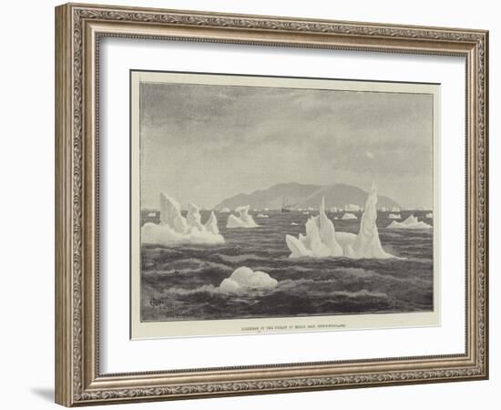 Icebergs in the Strait of Belle Isle, Newfoundland-null-Framed Giclee Print