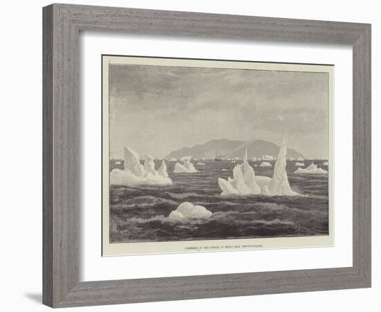 Icebergs in the Strait of Belle Isle, Newfoundland-null-Framed Giclee Print
