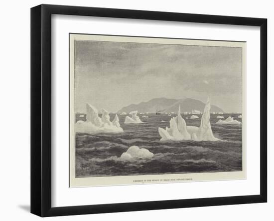 Icebergs in the Strait of Belle Isle, Newfoundland-null-Framed Giclee Print