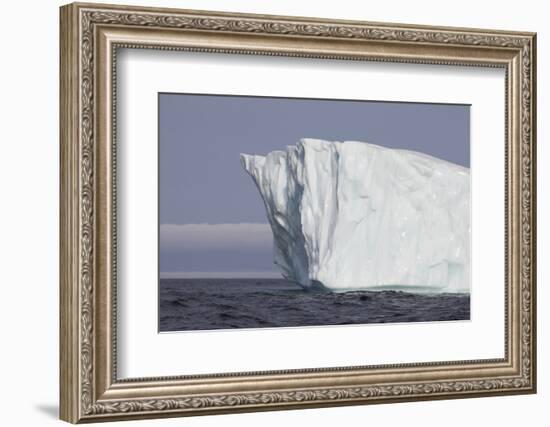 Icebergs, Kings Cove, Newfoundland, Canada-Greg Johnston-Framed Photographic Print