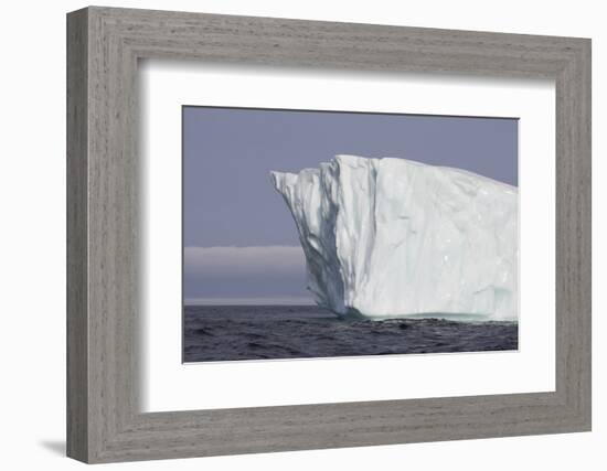 Icebergs, Kings Cove, Newfoundland, Canada-Greg Johnston-Framed Photographic Print