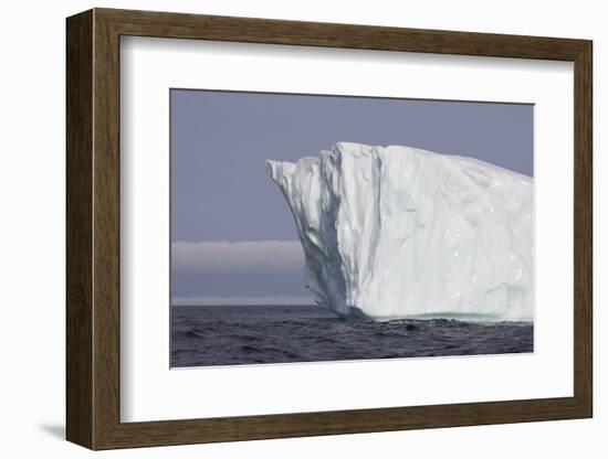 Icebergs, Kings Cove, Newfoundland, Canada-Greg Johnston-Framed Photographic Print