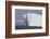 Icebergs, Kings Cove, Newfoundland, Canada-Greg Johnston-Framed Photographic Print