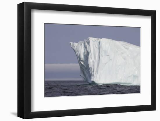 Icebergs, Kings Cove, Newfoundland, Canada-Greg Johnston-Framed Photographic Print