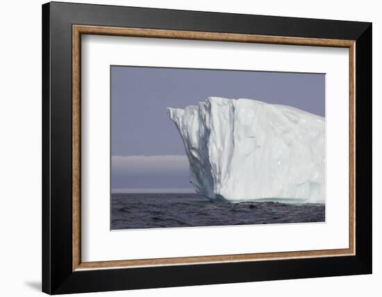 Icebergs, Kings Cove, Newfoundland, Canada-Greg Johnston-Framed Photographic Print