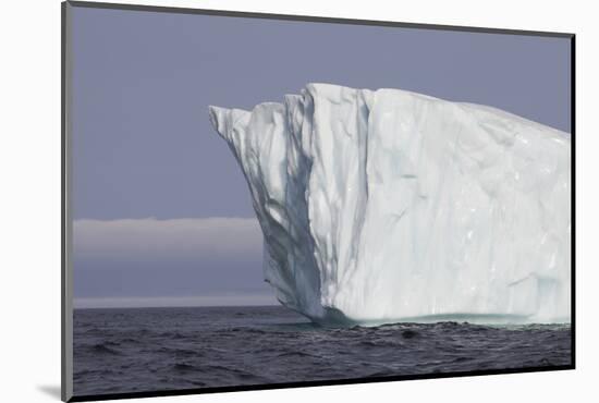 Icebergs, Kings Cove, Newfoundland, Canada-Greg Johnston-Mounted Photographic Print