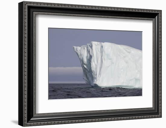 Icebergs, Kings Cove, Newfoundland, Canada-Greg Johnston-Framed Photographic Print