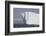 Icebergs, Kings Cove, Newfoundland, Canada-Greg Johnston-Framed Photographic Print