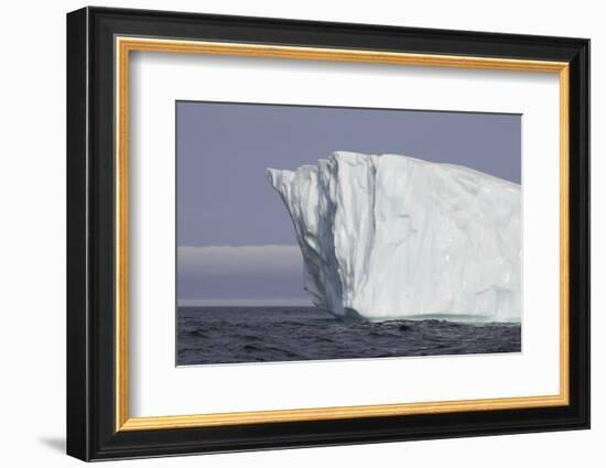 Icebergs, Kings Cove, Newfoundland, Canada-Greg Johnston-Framed Photographic Print