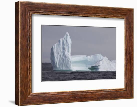 Icebergs, Kings Cove, Newfoundland, Canada-Greg Johnston-Framed Photographic Print