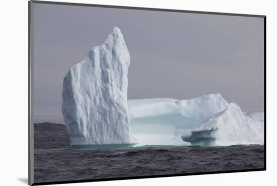 Icebergs, Kings Cove, Newfoundland, Canada-Greg Johnston-Mounted Photographic Print