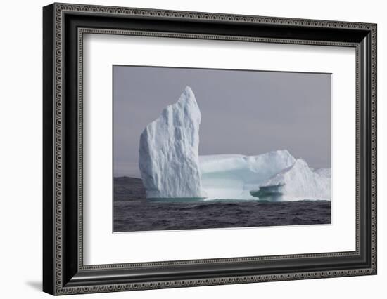 Icebergs, Kings Cove, Newfoundland, Canada-Greg Johnston-Framed Photographic Print