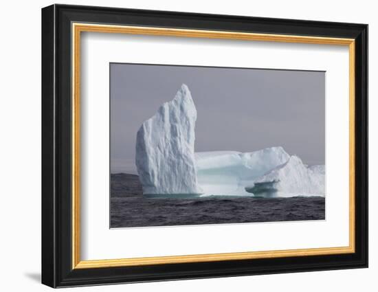 Icebergs, Kings Cove, Newfoundland, Canada-Greg Johnston-Framed Photographic Print