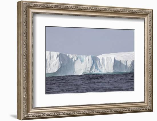 Icebergs, Kings Cove, Newfoundland, Canada-Greg Johnston-Framed Photographic Print