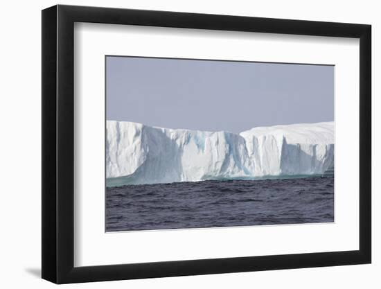 Icebergs, Kings Cove, Newfoundland, Canada-Greg Johnston-Framed Photographic Print